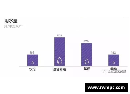 DB真人官方网站奇才球员数据：探索数据分析与关键趋势